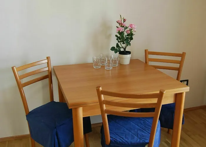 Duskova Апартаменты *